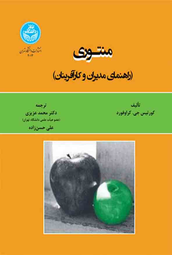 کتاب منتوری راهنمای مدیران و کارآفرینان , محمد عزیزی