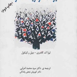 کتاب مدیریت استراتژیک کارآفرینی , لیزا گاندری , سیدمحمد اعرابی کتاب مدیریت استراتژیک کارآفرینی , لیزا گاندری , سیدمحمد اعرابی