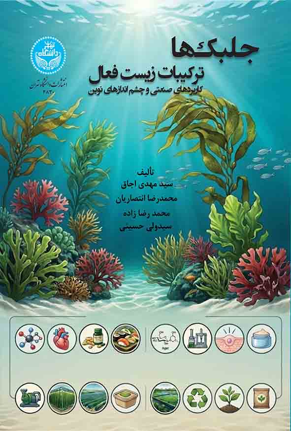 25 12 - صفحه اصلی