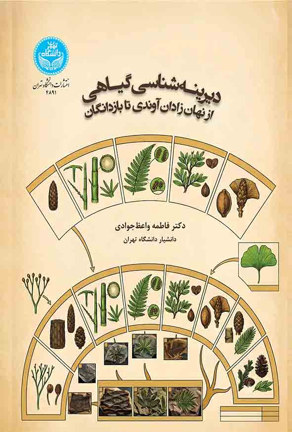 6 21 - صفحه اصلی
