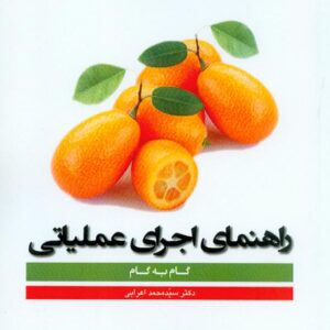 کتاب راهنمای اجرای عملیاتی (گام به گام) سیدمحمد اعرابی , دفتر پژوهشهای فرهنگی کتاب راهنمای اجرای عملیاتی (گام به گام) سیدمحمد اعرابی , دفتر پژوهشهای فرهنگی