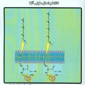 کتاب بیوشیمی غشاء (غشاها و اعمال سلولی آن ها) , کولمن و مایکل , علیرضا خوشدل , نشر آدنا کتاب بیوشیمی غشاء (غشاها و اعمال سلولی آن ها) , کولمن و مایکل , علیرضا خوشدل , نشر آدنا