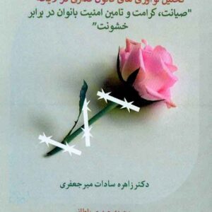 کتاب تحلیل نوآوری های قانون گذاری در لایحه صیانت، کرامت و تامین امنیت بانوان در برابر خشونت کتاب تحلیل نوآوری های قانون گذاری در لایحه صیانت، کرامت و تامین امنیت بانوان در برابر خشونت