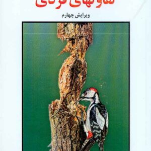 کتاب روانشناسی تفاوتهای فردی , حمزه گنجی