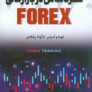 کتاب سفرنامه من در بازار مالی , داود رنجبر