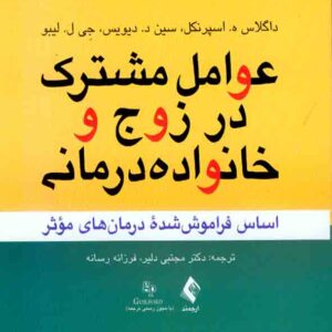کتاب عوامل مشترک در زوج و خانواده درمانی , مجتبی دلیر کتاب عوامل مشترک در زوج و خانواده درمانی , مجتبی دلیر