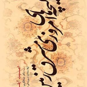 کتاب قالیچه های امروزی مشرق زمین , امیت آیلند کتاب قالیچه های امروزی مشرق زمین , امیت آیلند